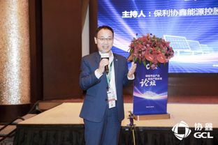 鑫单晶开创平价上网新时代 保利协鑫铸锭单晶量产化应用论坛纪实
